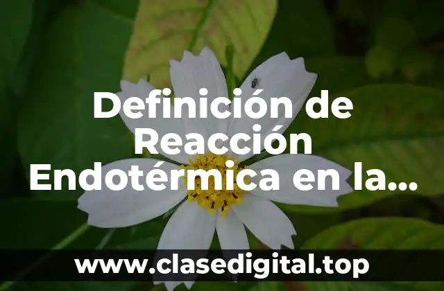 Definición de Reacción Endotérmica en la Vida Cotidiana