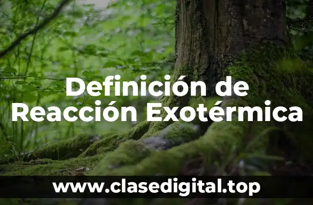 Definición Técnica de Reacción Exotérmica