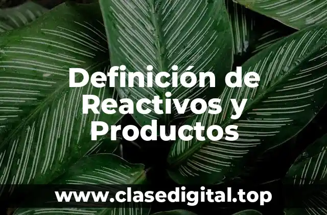 Definición de Reactivos y Productos