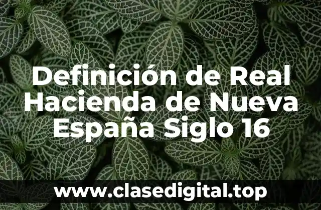 Definición técnica de Real Hacienda de Nueva España Siglo 16