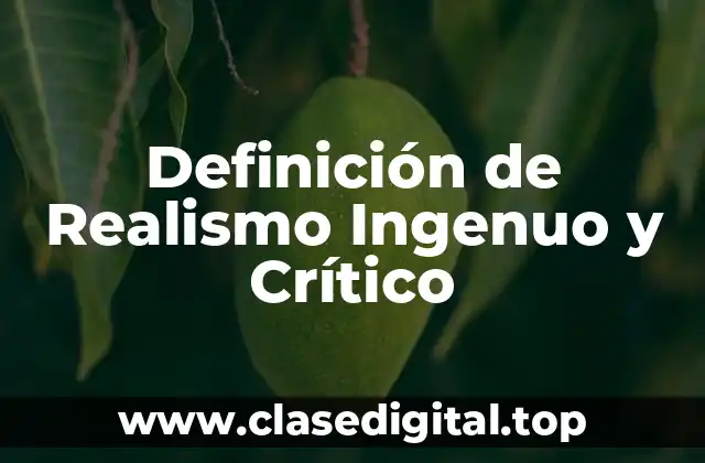 Definición de Realismo Ingenuo y Crítico