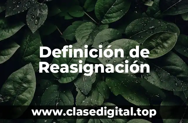 Definición de Reasignación