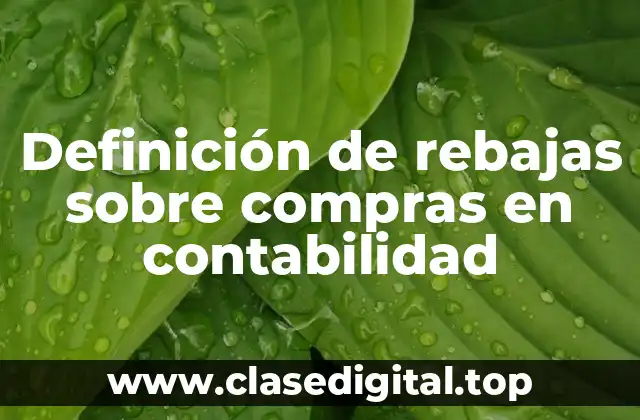 Definición técnica de rebajas sobre compras en contabilidad