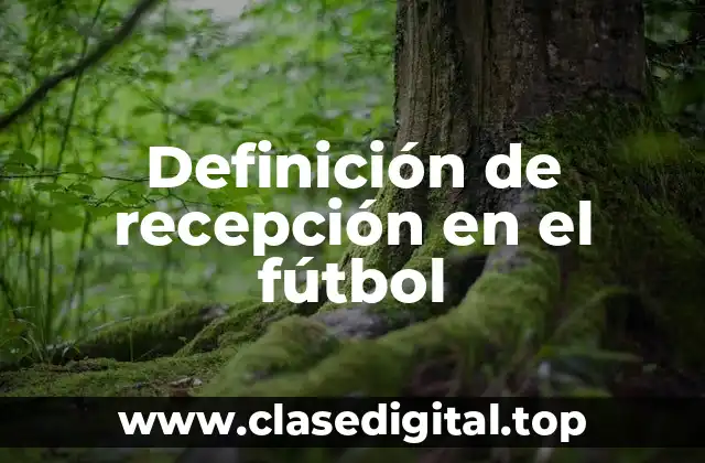 Definición de recepción en el fútbol