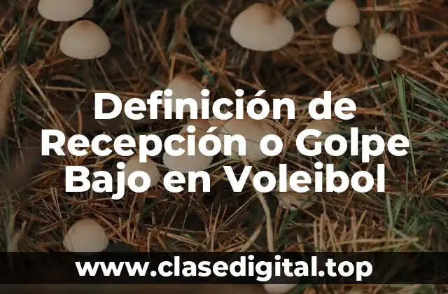 Definición de Recepción o Golpe Bajo en Voleibol