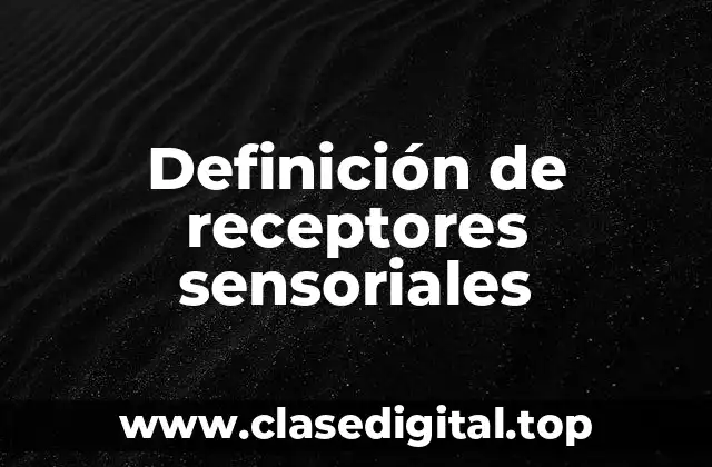 Definición de receptores sensoriales