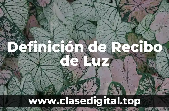 Definición de Recibo de Luz