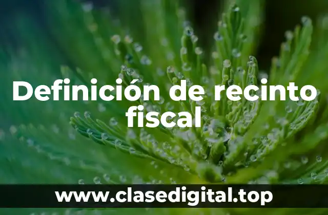 Definición de recinto fiscal