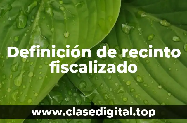 Definición de recinto fiscalizado
