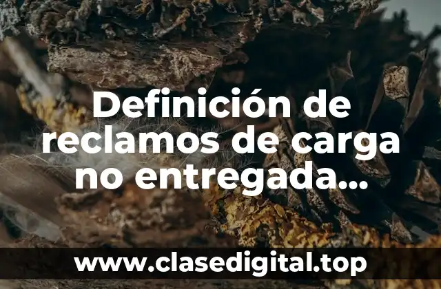 Definición de reclamos de carga no entregada dañada o robada