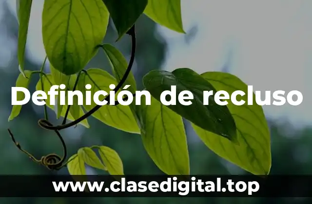 Definición de recluso