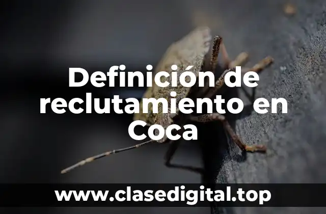 Definición de reclutamiento en Coca