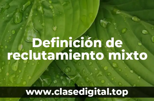 Definición de reclutamiento mixto