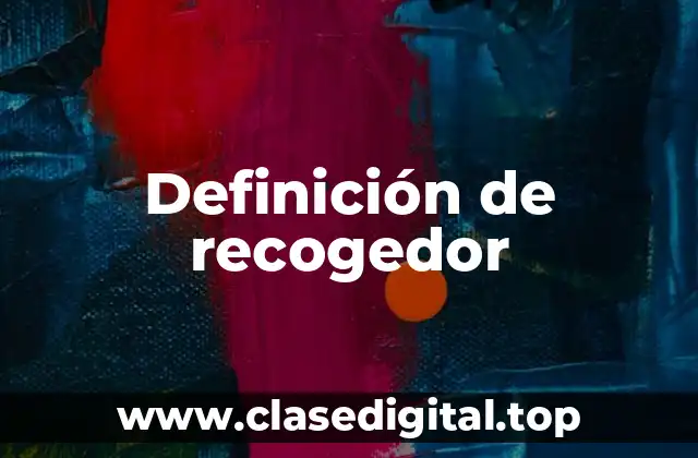 Definición de recogedor
