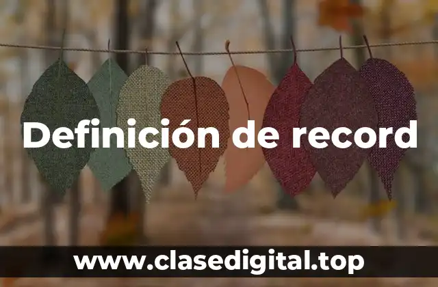 Definición técnica de record