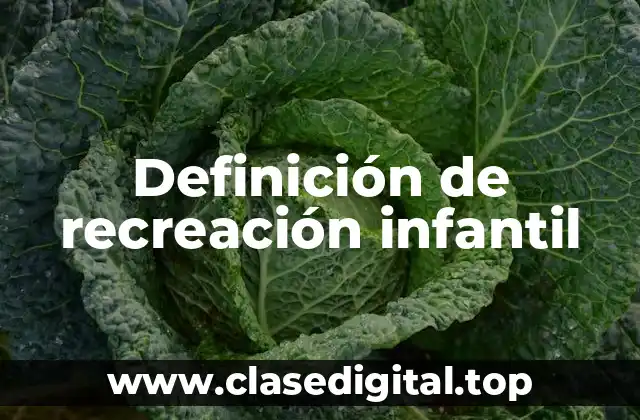 Definición técnica de recreación infantil