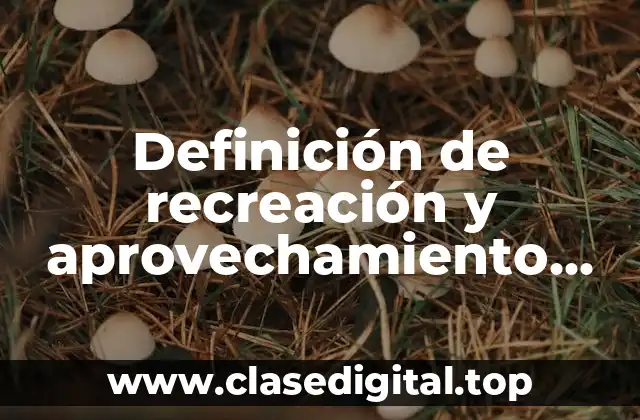 Definición de recreación y aprovechamiento del tiempo libre