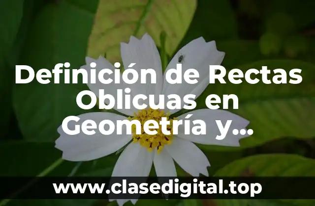 Definición de Rectas Oblicuas en Geometría y Trigonometría