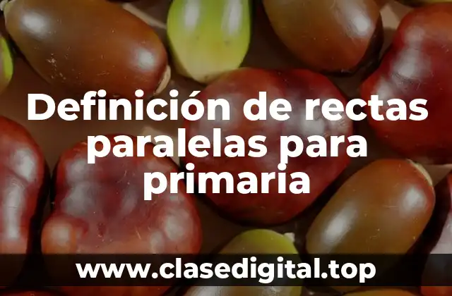 Ejemplos de rectas paralelas