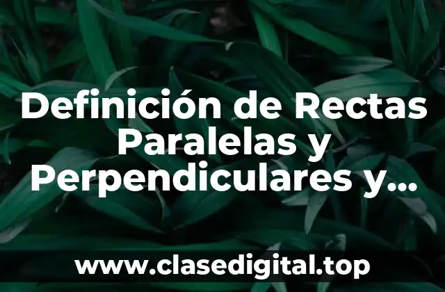 Definición de Rectas Paralelas y Perpendiculares y Oblicuas