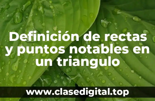 Definición de rectas y puntos notables en un triangulo