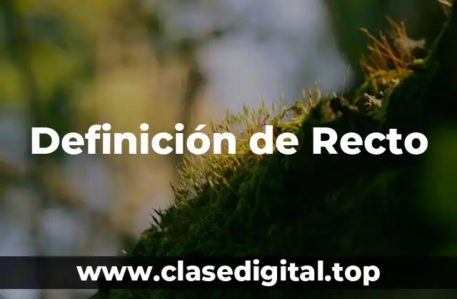 Definición de Recto