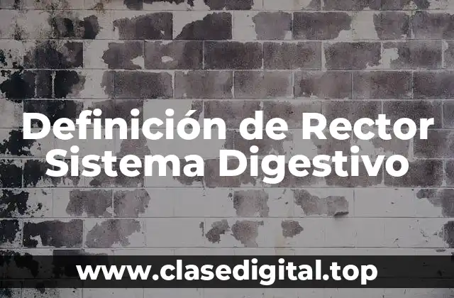 Definición de Rector Sistema Digestivo