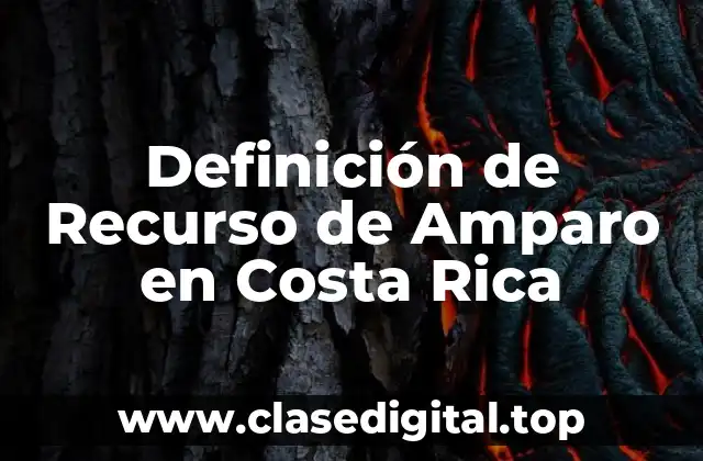 Definición de Recurso de Amparo en Costa Rica