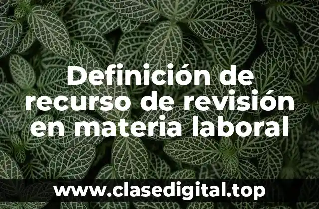 Definición de recurso de revisión en materia laboral