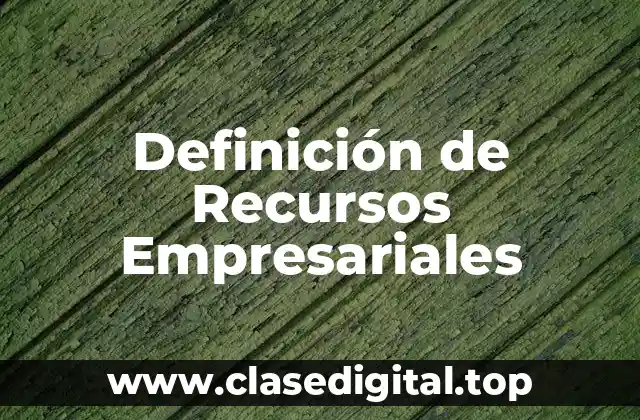 Definición de Recursos Empresariales