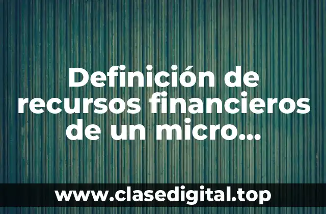 Definición de recursos financieros de un micro empresa de giro comercial