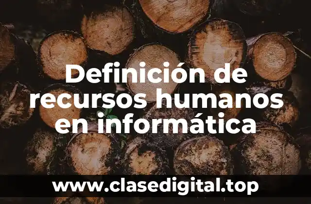Definición de recursos humanos en informática