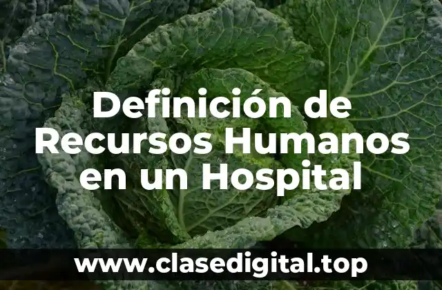 Definición de Recursos Humanos en un Hospital