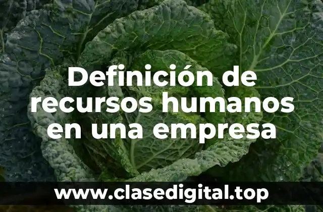 Definición de recursos humanos en una empresa