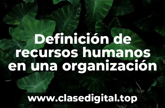 Definición de recursos humanos en una organización