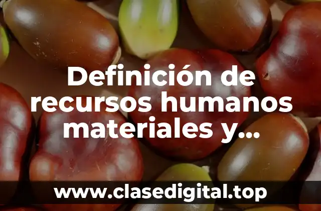 Definición de recursos humanos materiales y financieros