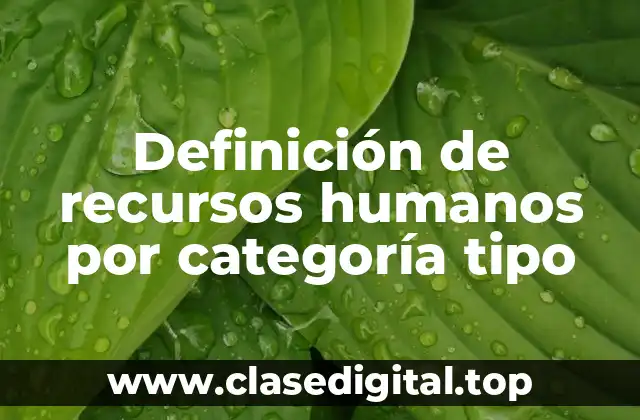 Definición de recursos humanos por categoría tipo