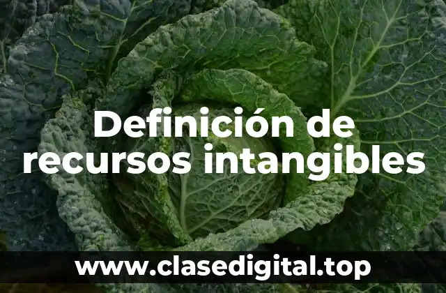 Definición de recursos intangibles