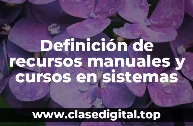 Definición de recursos manuales y cursos en sistemas