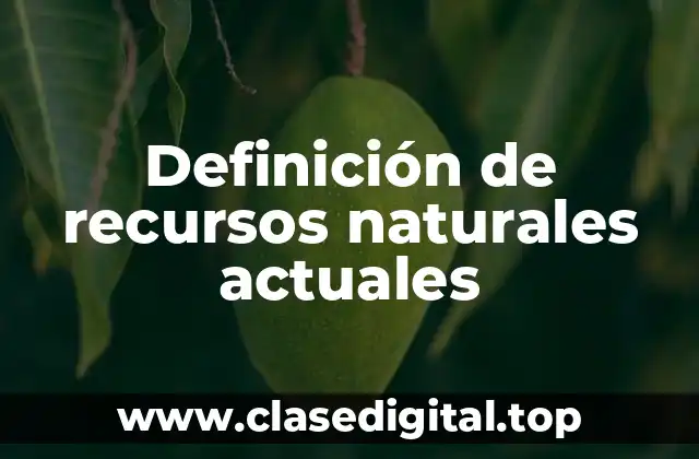 Definición de recursos naturales actuales