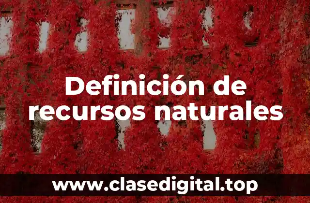 Definición técnica de recursos naturales