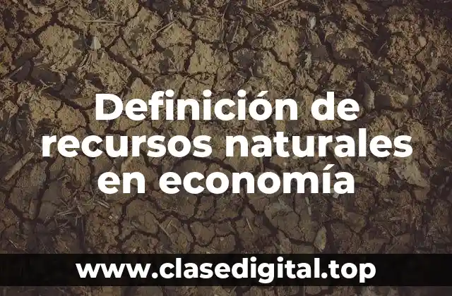 Definición de recursos naturales en economía