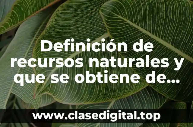 Definición de recursos naturales y que se obtiene de ellos