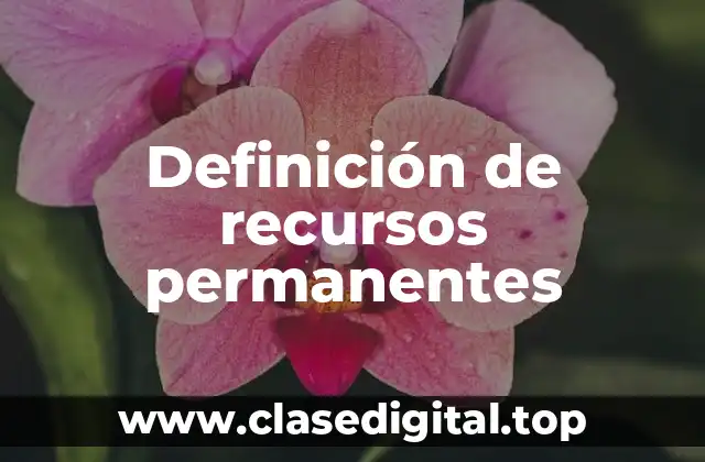 Definición de recursos permanentes