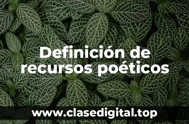 Ejemplos de recursos poéticos