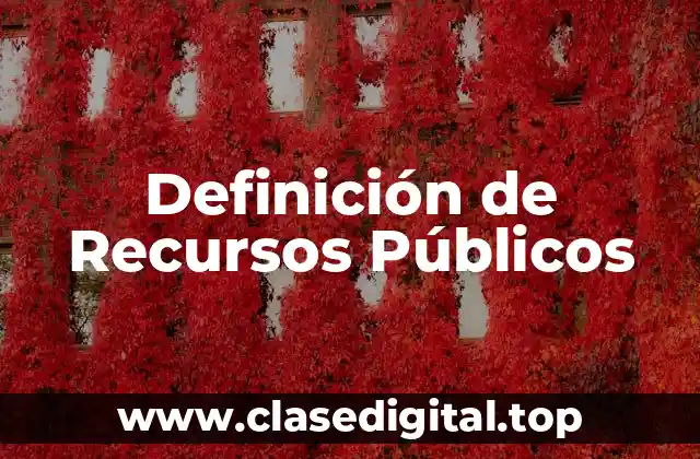 Definición de Recursos Públicos