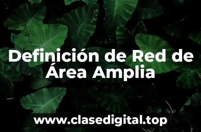 Definición de Red de Área Amplia