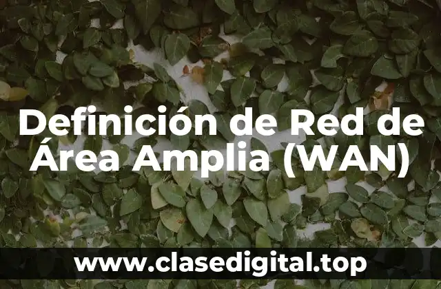 Definición de Red de Área Amplia (WAN)