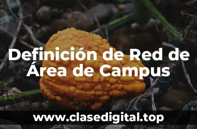 Definición técnica de Red de Área de Campus