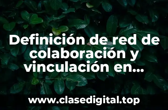 Definición de red de colaboración y vinculación en proyecto comunitario